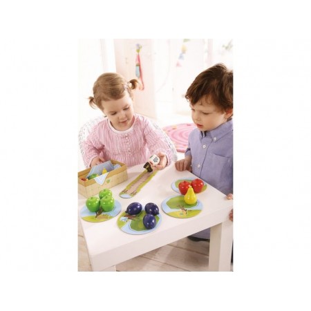 W ogrodzie 2+, Haba W ogrodzie 2+, Haba