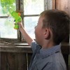 Haba Odkurzacz do owadów i pojemnik z lupą do obserwacji owadów Haba Odkurzacz do owadów i pojemnik z lupą do obserwacji owadów