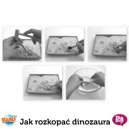 Buki Mały archeolog Tiranozaur do wykuwania i złożenia Buki Mały archeolog Tiranozaur do wykuwania i złożenia