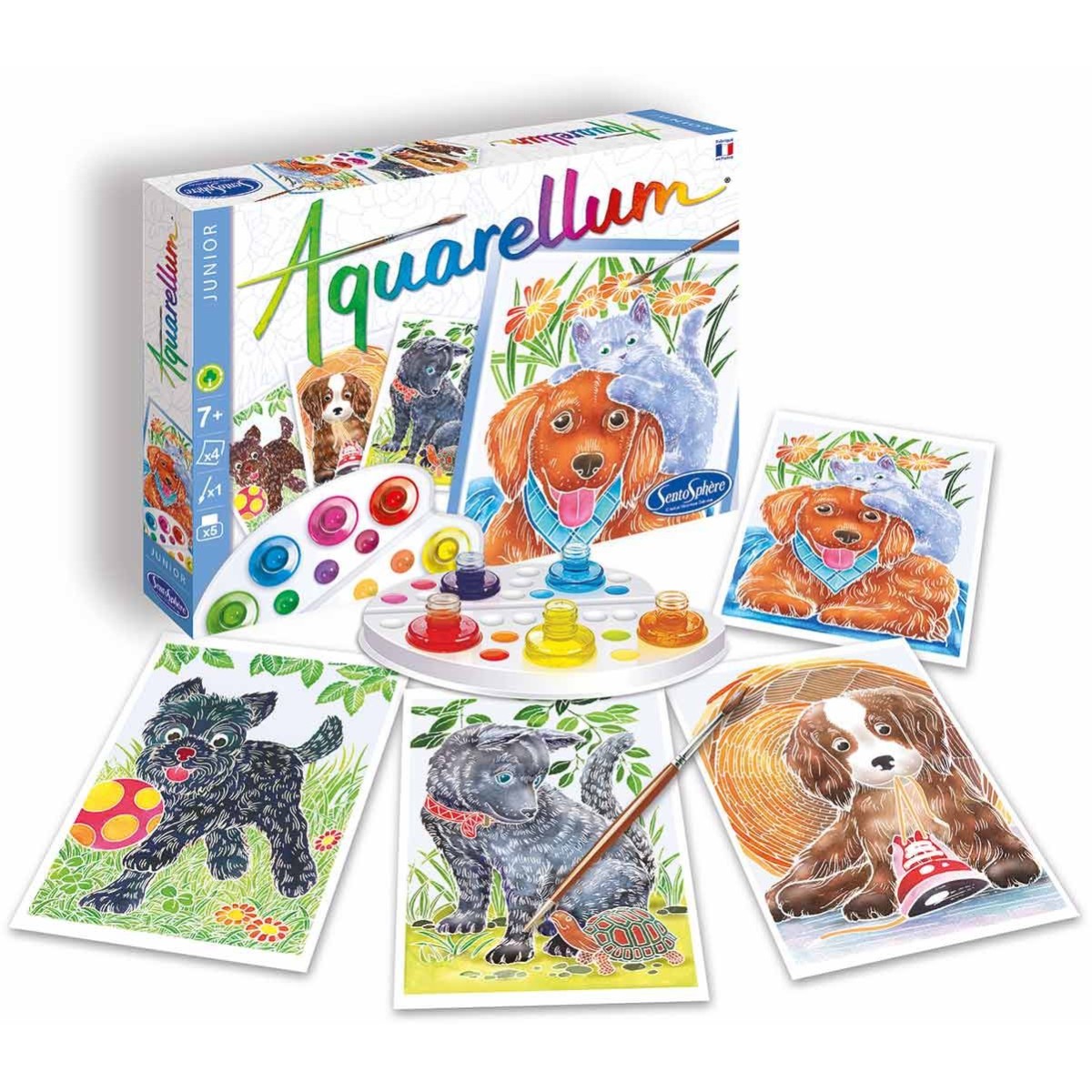 Aquarellum Pieski 4 obrazy do malowania i farby, SentoSphere
