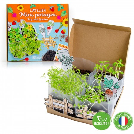 Coffret mon potager miniature