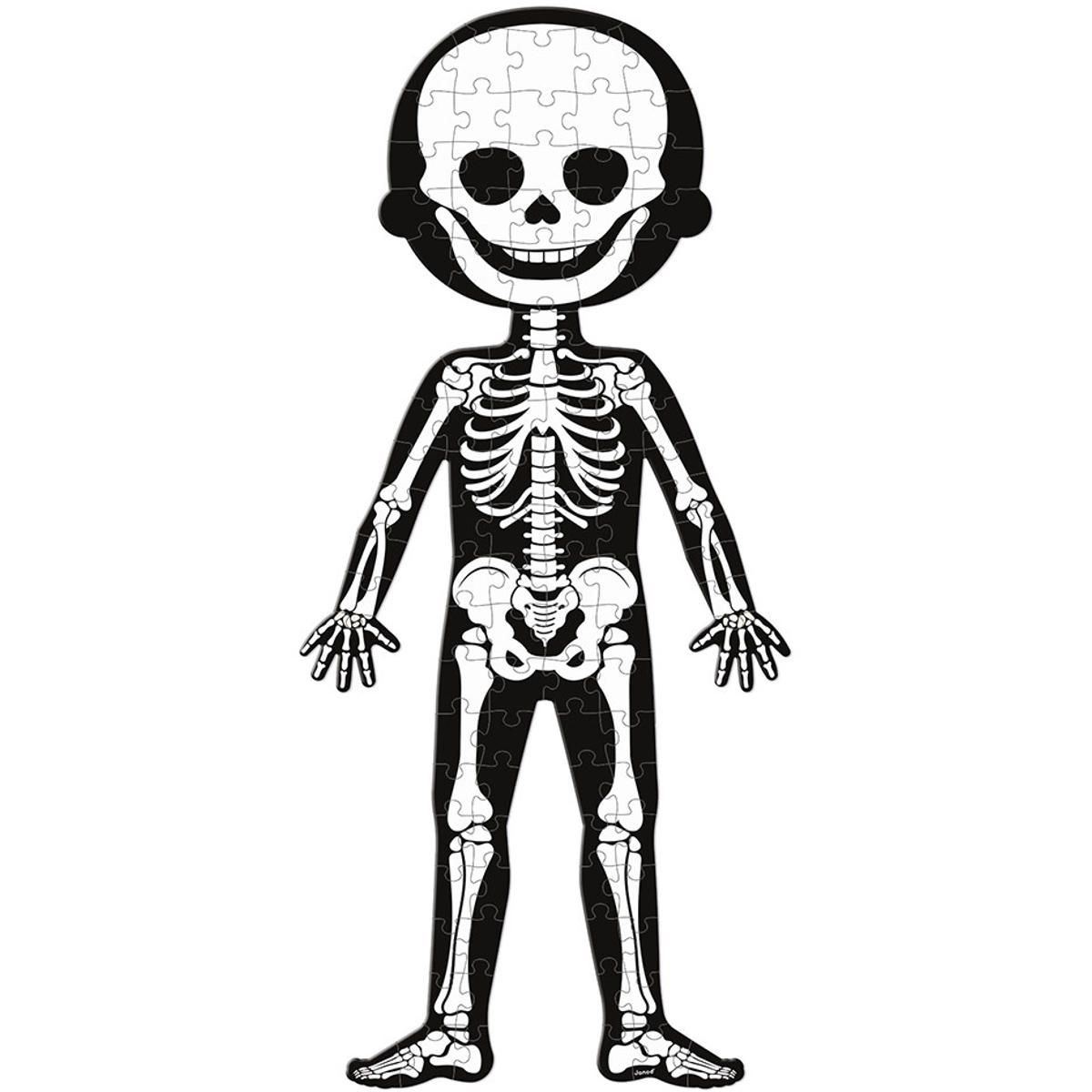 Janod Ciało Człowieka puzzle edukacyjne 50-75-100 el.