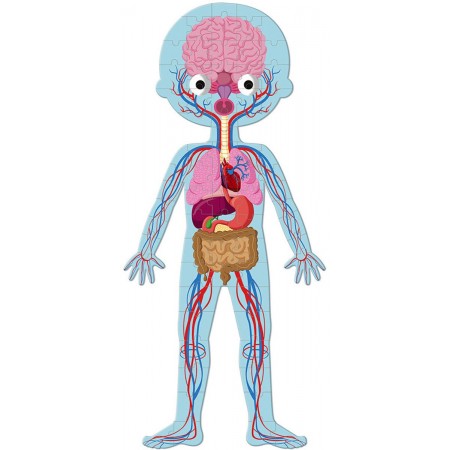 Janod Ciało Człowieka puzzle edukacyjne 50-75-100 el.