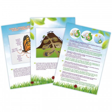 Buki Zestaw do Badania Insektów dla dzieci od 8 lat
