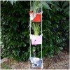 Origami i Rośliny zestaw kreatywny dla dzieci +5 | Dadum Origami i Rośliny zestaw kreatywny dla dzieci +5 | Dadum