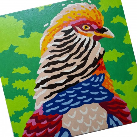 SentoSphere COLORIZZY Ptaki malowanie po numerach 4501
