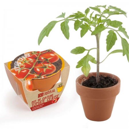 Zestaw do uprawy Bio Pomidorki Koktajlowe dla dzieci, Radis et Capucine