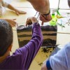 Zestaw edukacyjny do uprawy i obserwacji roślin dla dzieci | Dadum Zestaw edukacyjny do uprawy i obserwacji roślin dla dzieci | Dadum