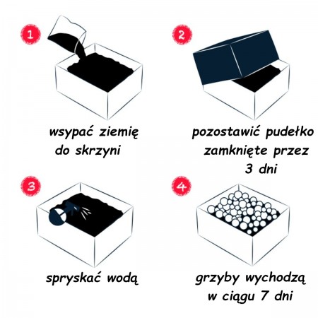 Zestaw do uprawy pieczarek grzybnia dla dzieci w domu, Radis et Capucine Zestaw do uprawy pieczarek grzybnia dla dzieci w domu, Radis et Capucine