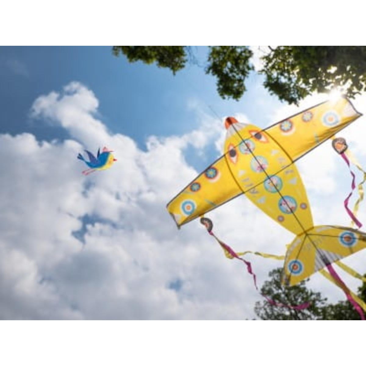 Djeco latawiec maxi samolot 122 x 88 x 250cm +5 lat