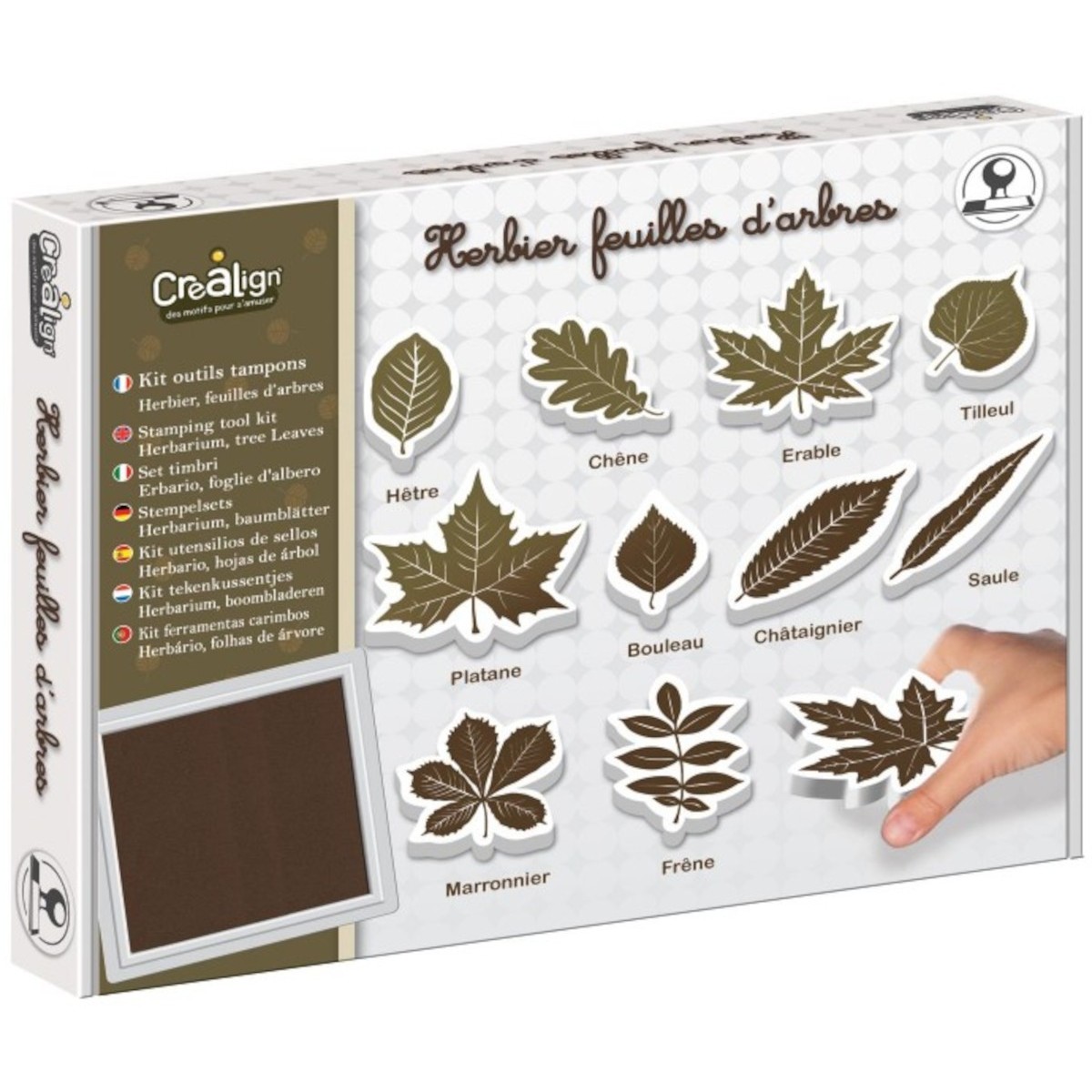 Liście drzew 10 stempelków do tworzenia obrazów dla dzieci, Crea Lign'