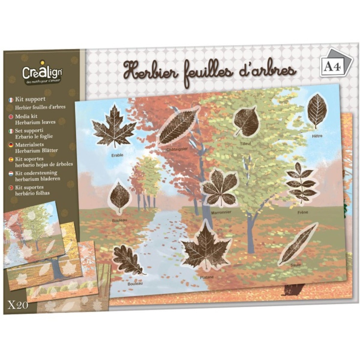 Liście drzew 20 plansz do tworzenia obrazów ze stempelkami, Crea Lign'