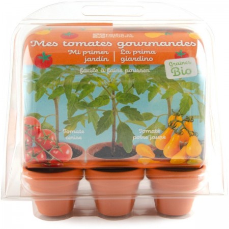 Szklarnia na Pomidorki zestaw do uprawy 2 gatunków pomidorów dla dzieci
