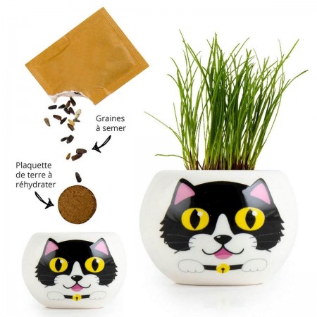Czarny kotek doniczka z nasionami trawy dla dzieci +3 | Dadum