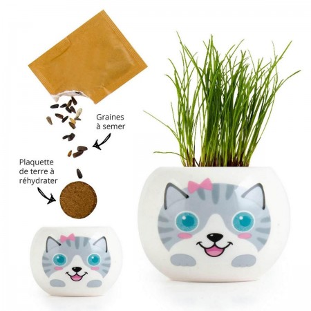 Szary kotek doniczka z nasionami trawy dla dzieci +3 | Dadum