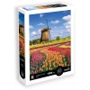 Puzzle 1000 Pola Tulipanów - Holandia, Calypto | Dadum Puzzle 1000 Pola Tulipanów - Holandia, Calypto | Dadum
