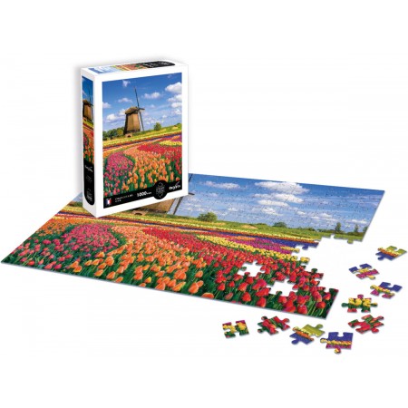 Puzzle 1000 Pola Tulipanów - Holandia, Calypto | Dadum