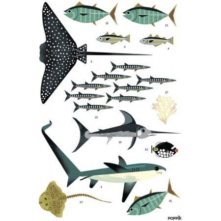 Edukacyjny plakat do wyklejania Ocean +6 Edukacyjny plakat do wyklejania Ocean +6