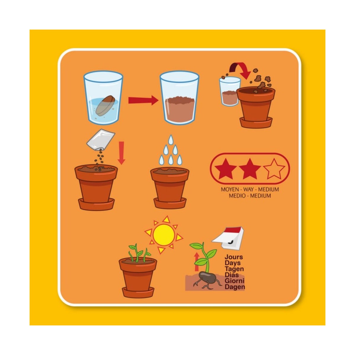 Tańcząca Roślina zestaw do uprawy dla dzieci +6 lat | Dadum