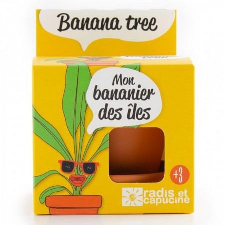 Mini Bananowiec zestaw do uprawy dla dzieci od 6 lat | Dadum