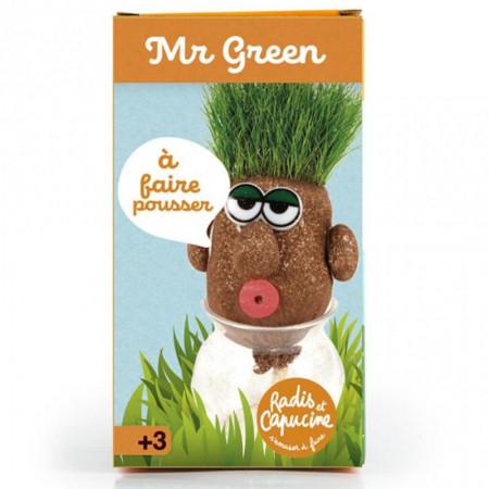 Mr. Green głowa z trawą zestaw dla dzieci od 3 lat | Dadum