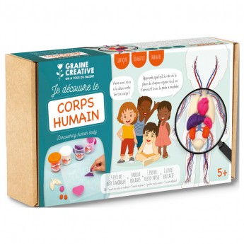 Anatomia zestaw kreatywny edukacyjny, Graine Creative