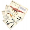 Puzzle 500 Dinozaury z kartami edukacyjnymi, Vilac Puzzle 500 Dinozaury z kartami edukacyjnymi, Vilac