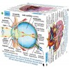 Kostka do nauki anatomii po polsku +7, ZooBooKoo Kostka do nauki anatomii po polsku +7, ZooBooKoo