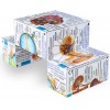 Kostka do nauki anatomii po polsku +7, ZooBooKoo Kostka do nauki anatomii po polsku +7, ZooBooKoo