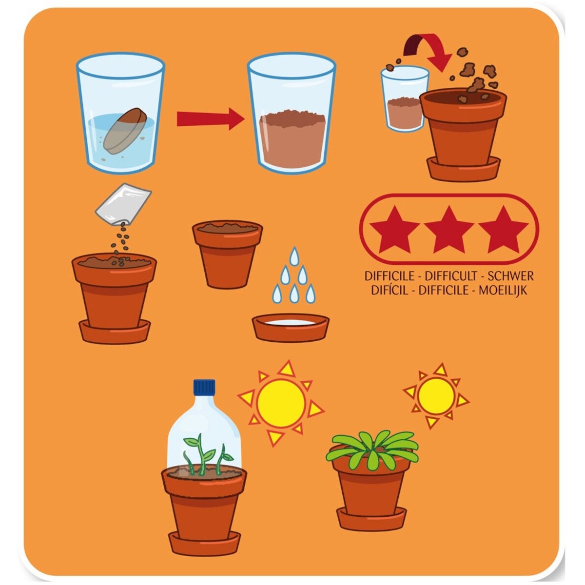 Smoczy owoc do uprawy, Radis et Capucine