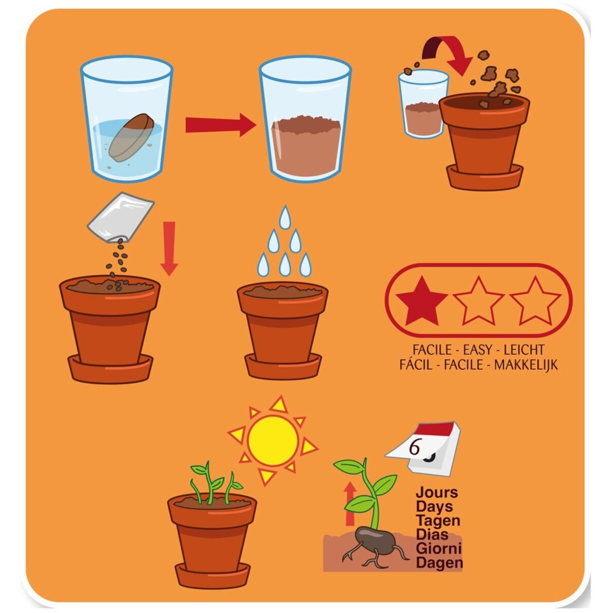 Magiczna fasola Jasia do uprawy, Radis et Capucine