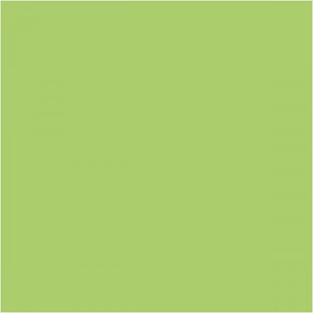 Plus Color Farba akrylowa 250 ml Lime Green | Dadum Kraków Plus Color Farba akrylowa 250 ml Lime Green | Dadum Kraków
