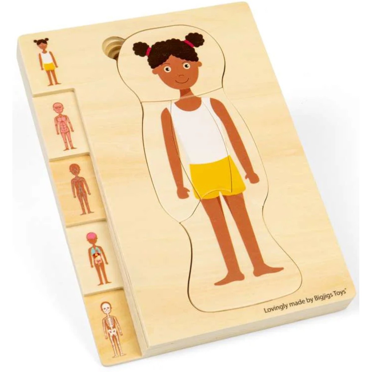 BigJigs Układanka anatomiczna dziewczyna +3 | Dadum