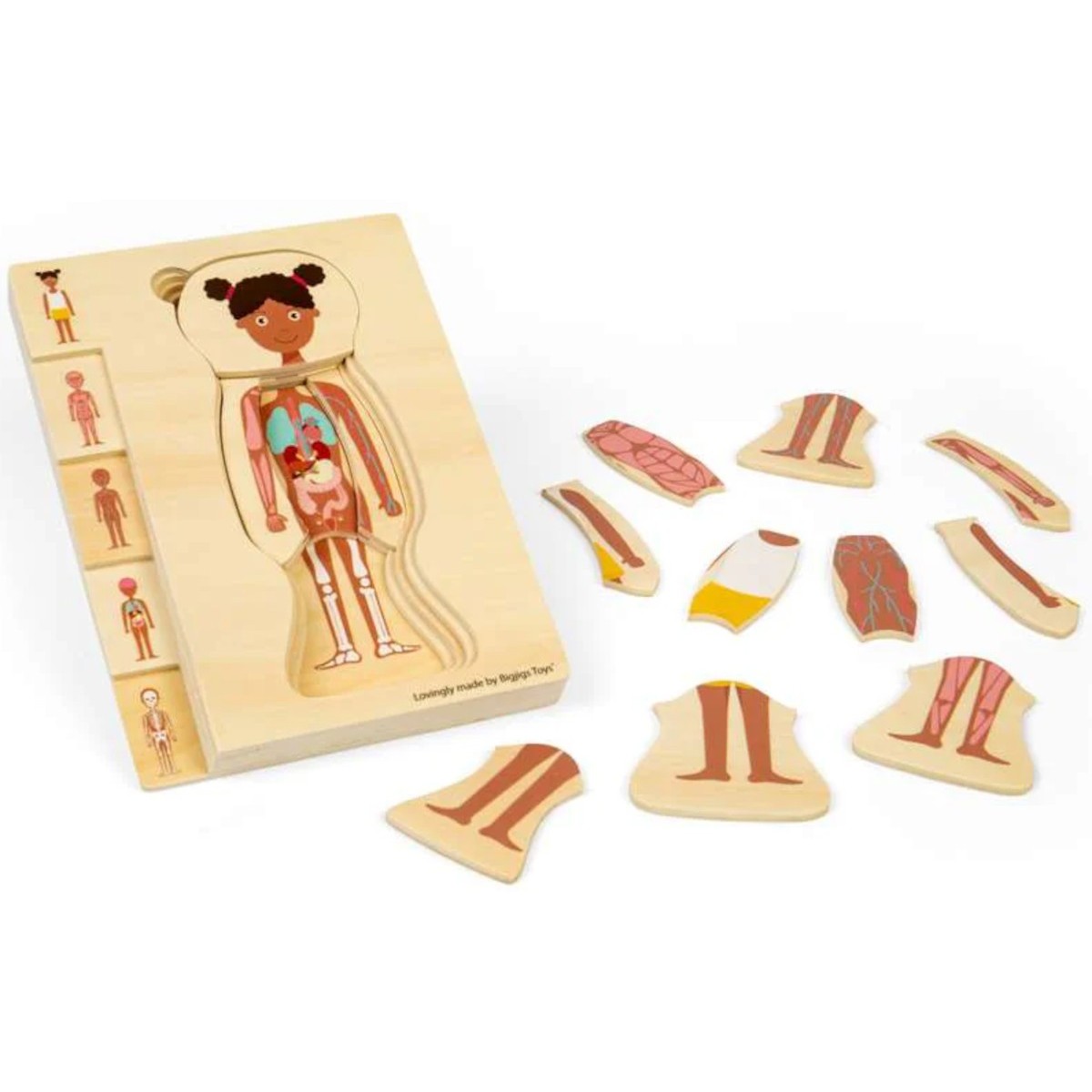 BigJigs Układanka anatomiczna dziewczyna +3 | Dadum