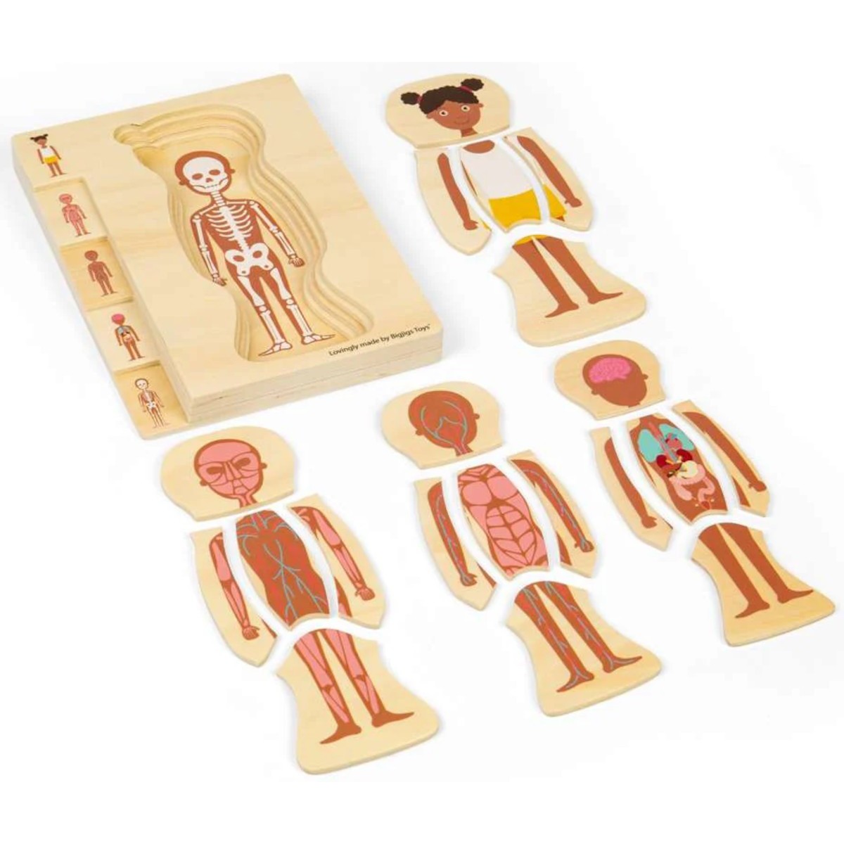 BigJigs Układanka anatomiczna dziewczyna +3 | Dadum