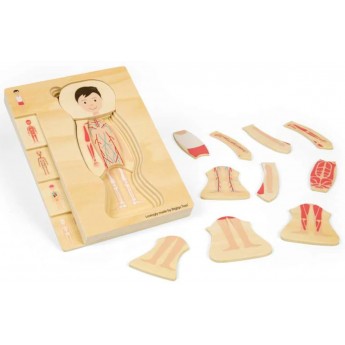 BigJigs Układanka anatomiczna chłopak +3 | Dadum