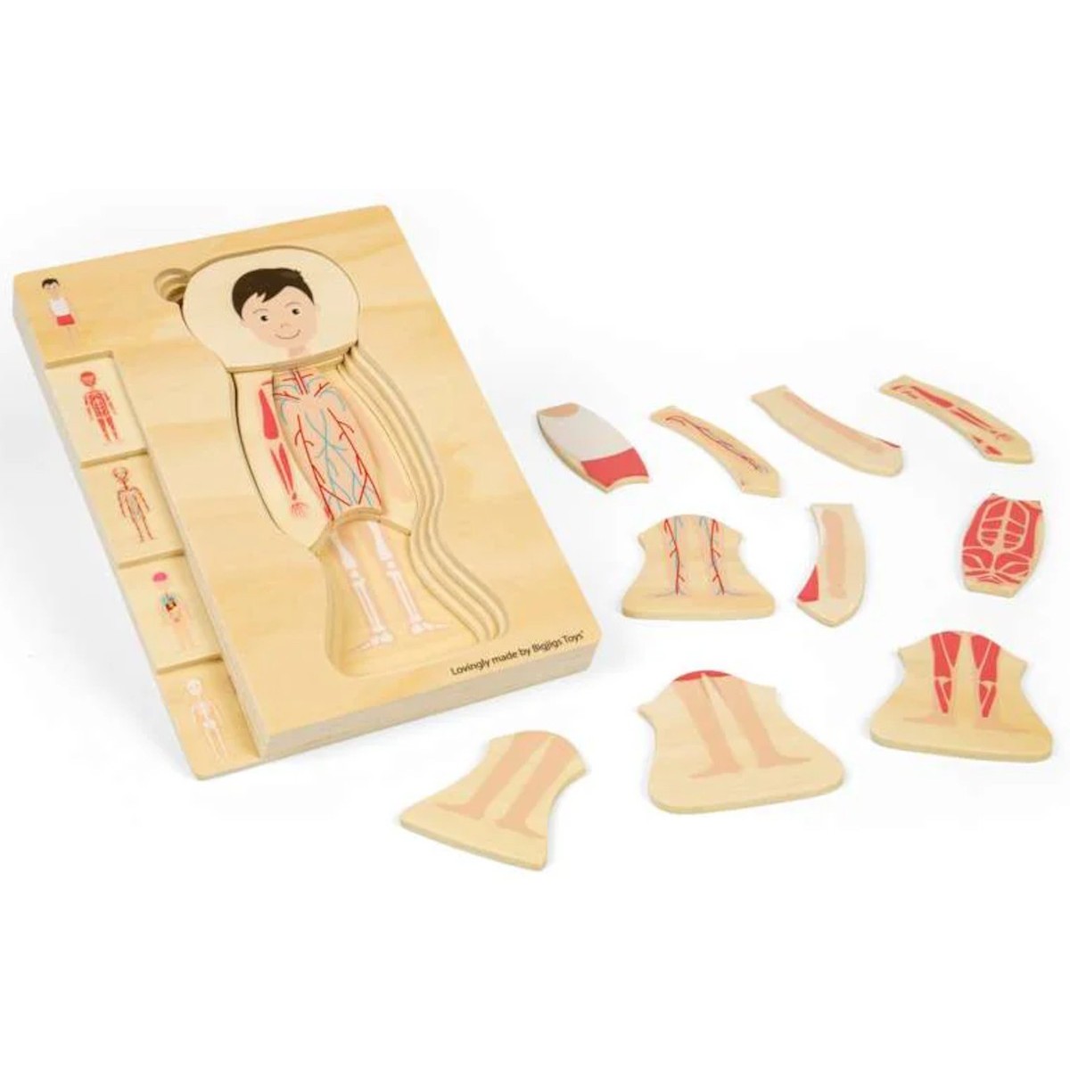 BigJigs Układanka anatomiczna chłopak +3 | Dadum