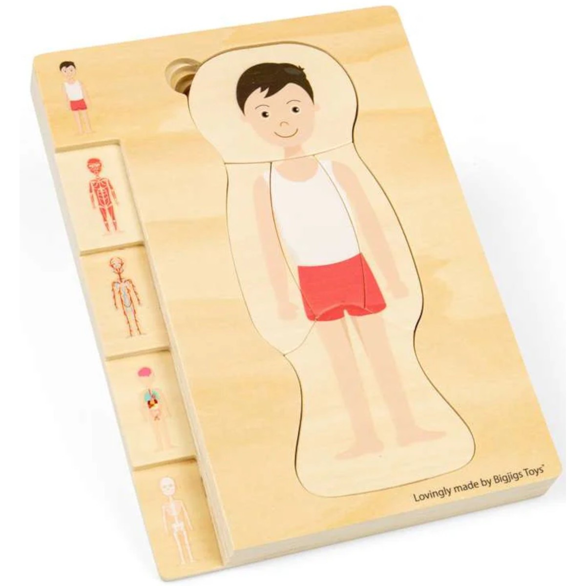 BigJigs Układanka anatomiczna chłopak +3 | Dadum