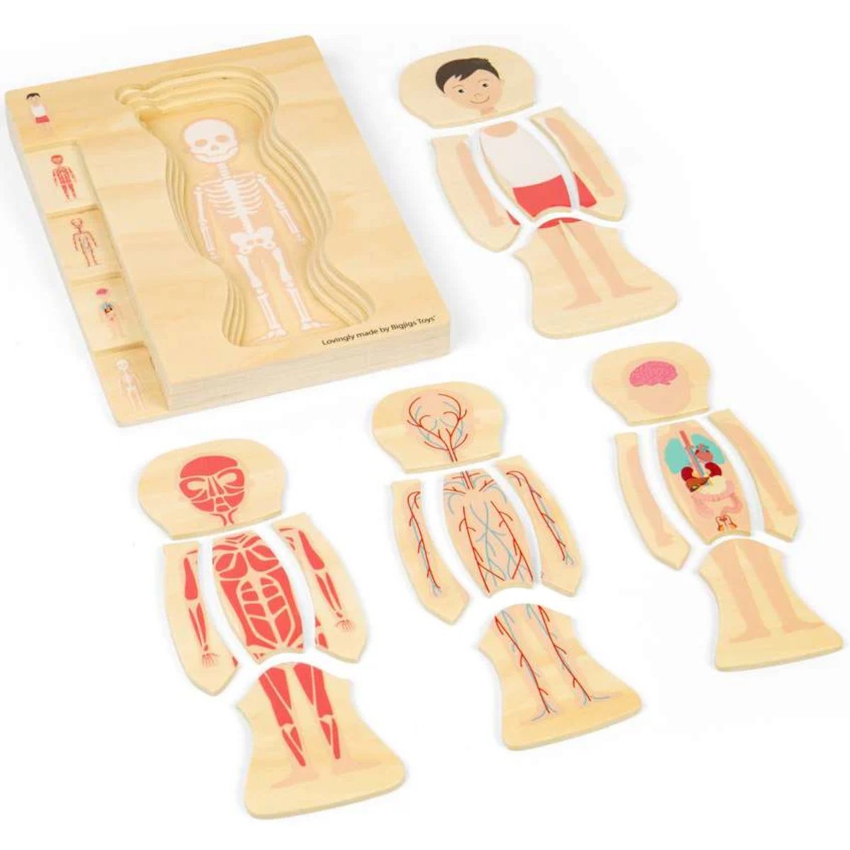 BigJigs Układanka anatomiczna chłopak +3 | Dadum