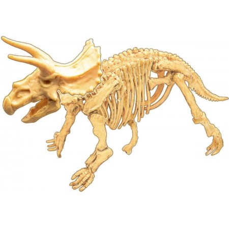 Zestaw kreatywny Mały paleontolog Triceratops, Buki