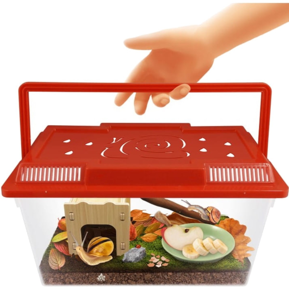 Domek dla Ślimaków, Buki