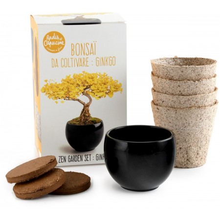 Bonsai Ginkgo zestaw do uprawy, Radis et Capucine Bonsai Ginkgo zestaw do uprawy, Radis et Capucine