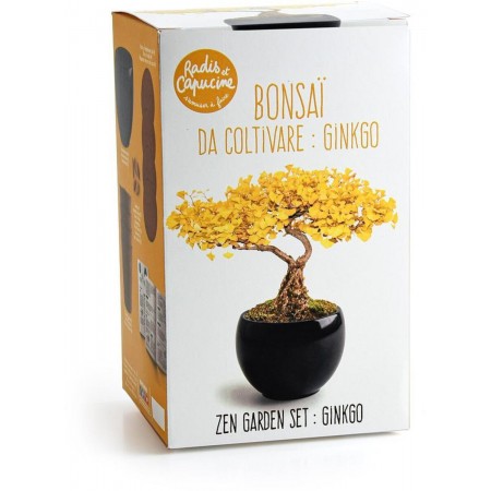 Bonsai Ginkgo zestaw do uprawy, Radis et Capucine Bonsai Ginkgo zestaw do uprawy, Radis et Capucine