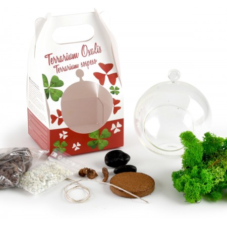 DIY terrarium kuliste z czterolistną koniczyną do uprawy, Radis et Capucine DIY terrarium kuliste z czterolistną koniczyną do uprawy, Radis et Capucine