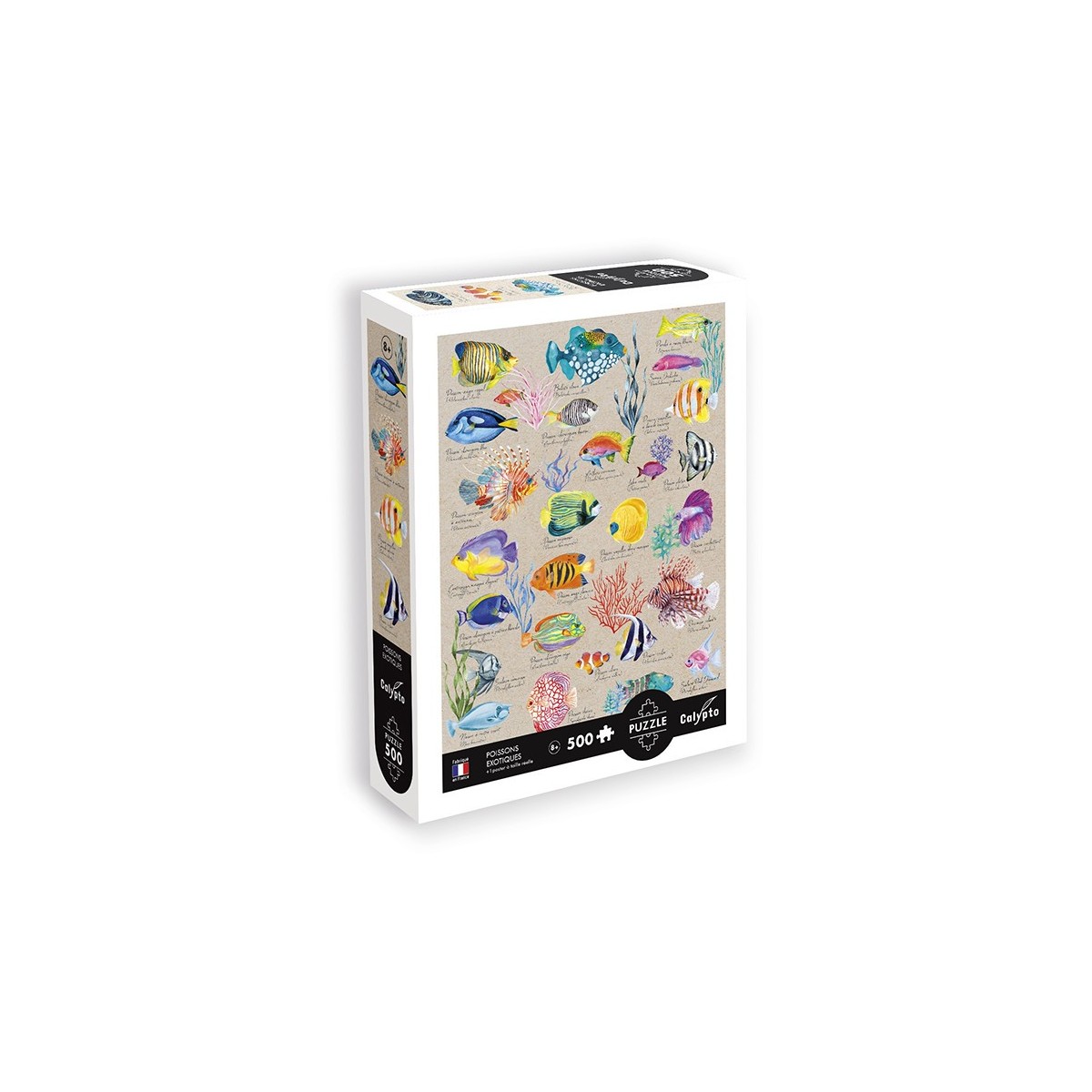 Puzzle 500 elementów Egzotyczne Ryby © Mila Leev, Calypto