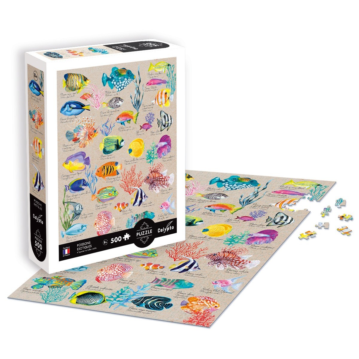 Puzzle 500 elementów Egzotyczne Ryby © Mila Leev, Calypto