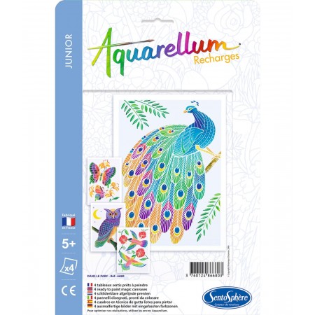 W Parku plansze do Aquarellum Junior, SentoSphere | Dadum