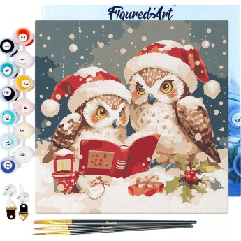 Mini obraz do malowania po numerach 20 x 20 cm z ramką Sowy Święty Mikołaj czyta