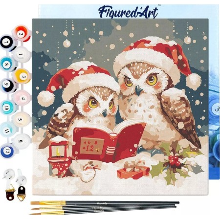 Mini obraz do malowania po numerach 20 x 20 cm z ramką Sowy Święty Mikołaj czyta