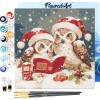 Mini obraz do malowania po numerach 20 x 20 cm z ramką Sowy Święty Mikołaj czyta
